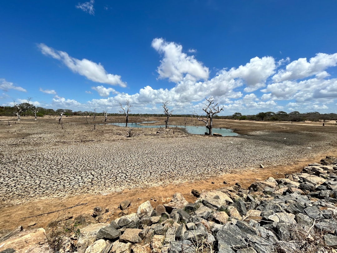 Dried up lake