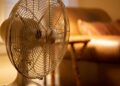 Living room fan