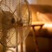 Living room fan